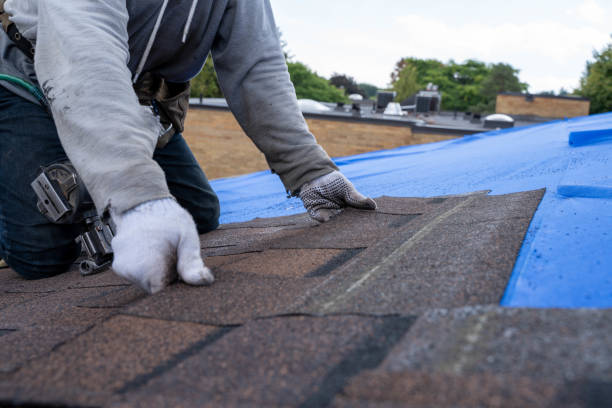 Fast & Reliable Emergency Roof Repairs in South Tucson, AZ