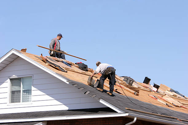 Best Roof Moss and Algae Removal  in South Tucson, AZ